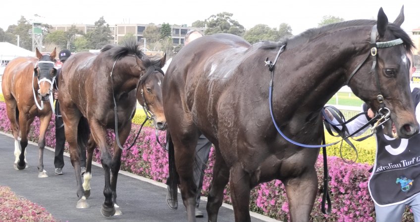 Royal Randwick Racecourse