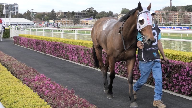 Royal Randwick Racecourse