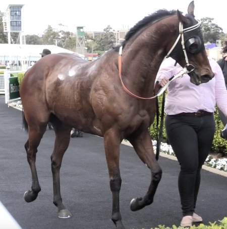 Royal Randwick Racecourse