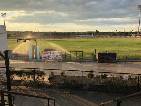 Ladbrokes Gardens Greyhound Racing