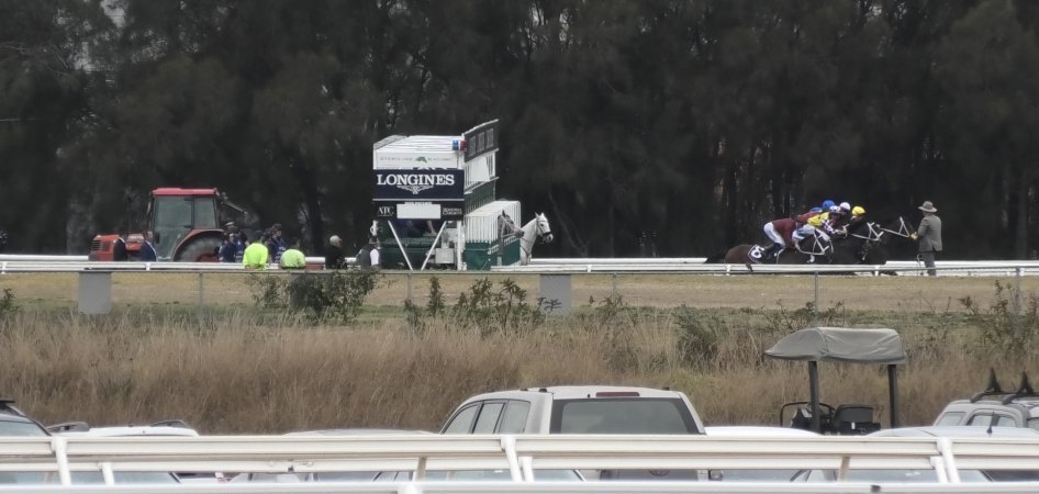 Rosehill Racecourse