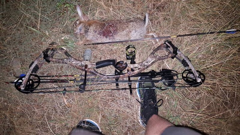 Bowhunting - Wild Rabbits