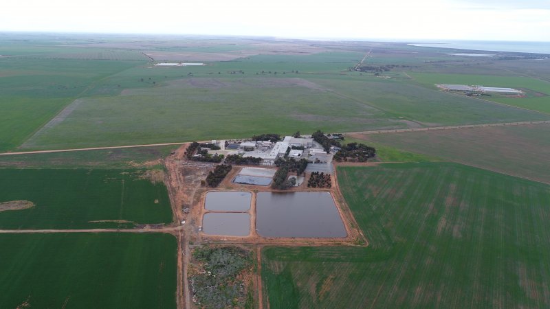 Aerial drone view of slaughterhouse