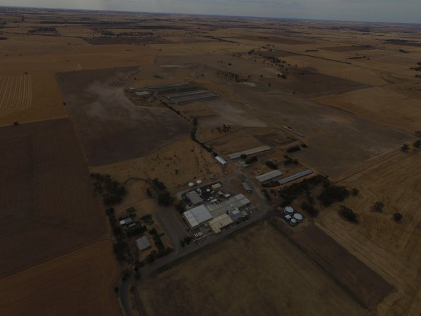 Aerial drone view of slaughterhouse