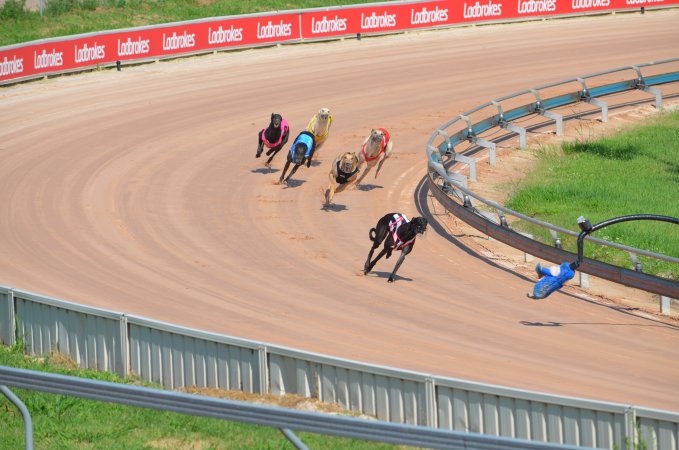 Greyhound Racing