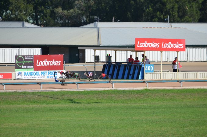 Greyhound Racing