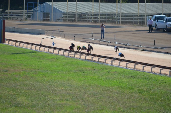 Greyhound Racing