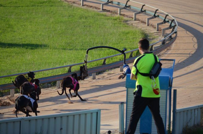 Greyhound Racing