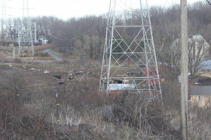 Sutton Family Farm