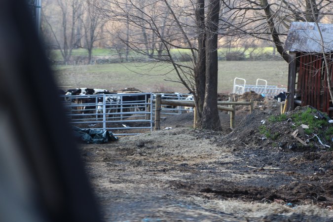 Sutton Family Farm