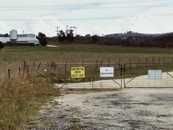 Main entrance to Premier Farm on Pipers Flat Road