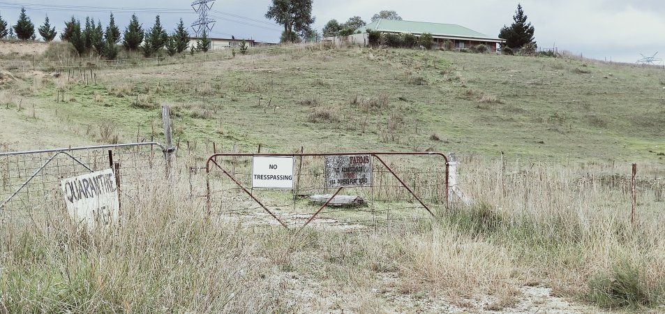 Driveway to farm property on Thompsons Creek Road