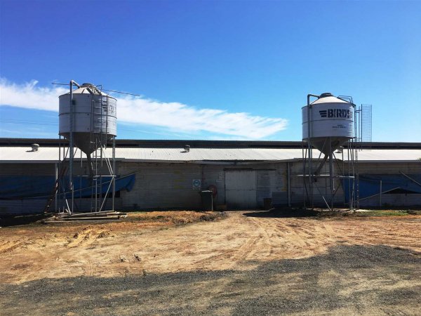 Busselton Free Range Egg Farm