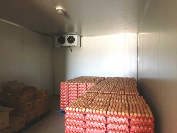 Busselton Free Range Egg Farm