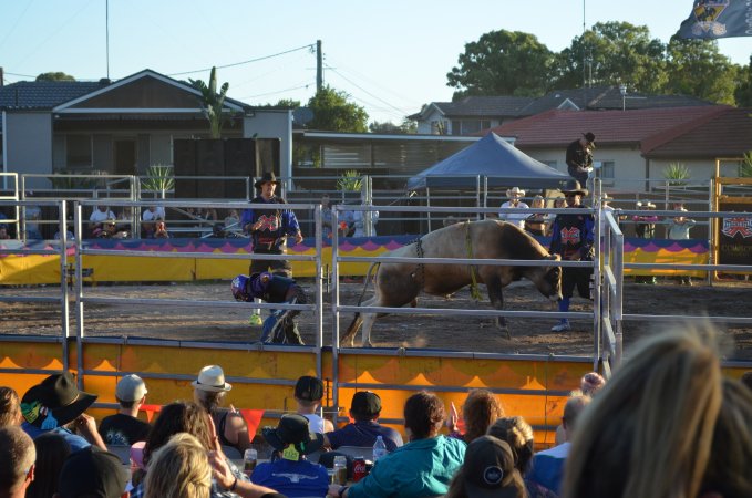 Xtreme Bulls Rodeo - Penrith