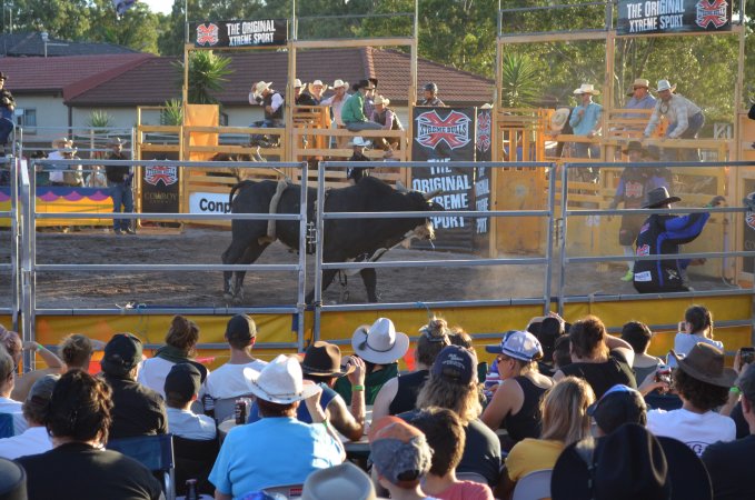 Xtreme Bulls Rodeo - Penrith