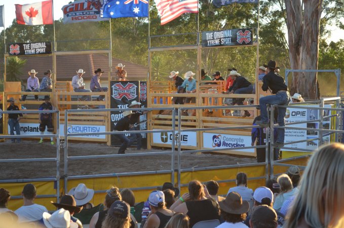 Xtreme Bulls Rodeo - Penrith