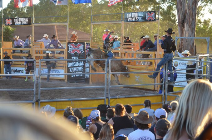 Xtreme Bulls Rodeo - Penrith