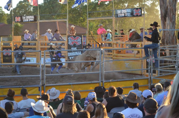 Xtreme Bulls Rodeo - Penrith