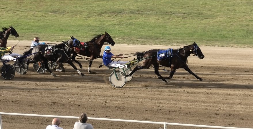 Harness Racing - Penrith Paceway