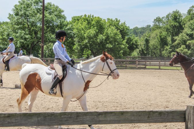 Horse Show