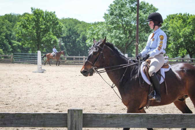 Horse Show