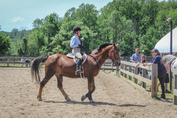 Horse Show