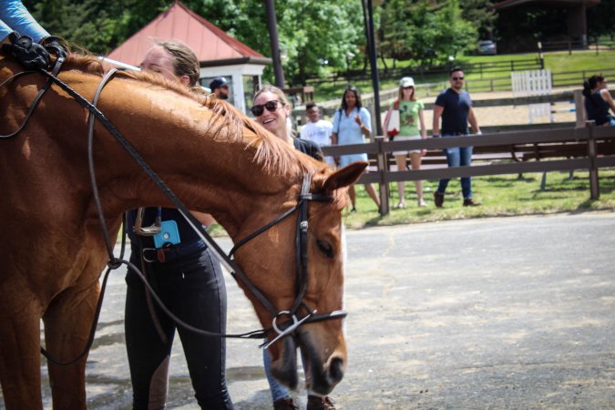 Horse Show