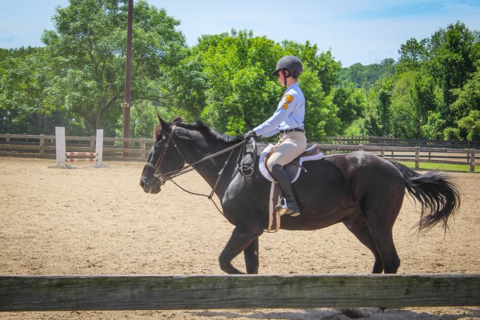 Horse Show