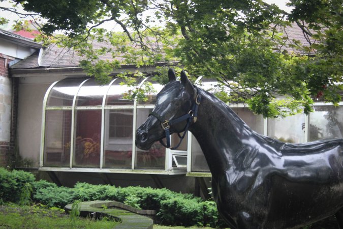 Essex Equestrian Center