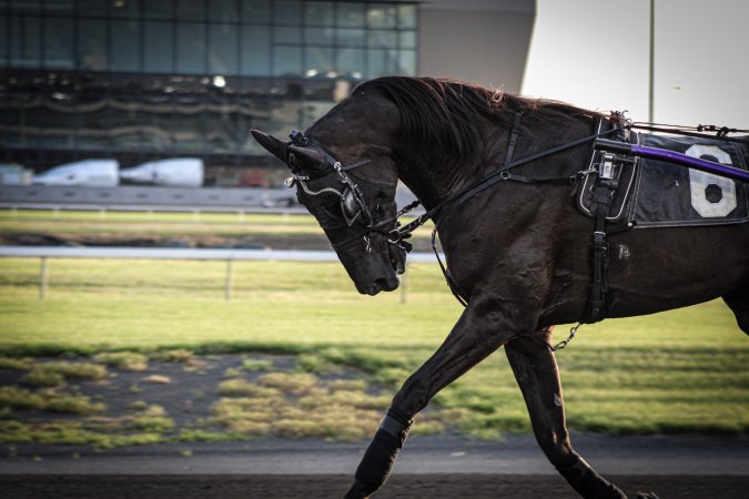 Meadowlands Racing