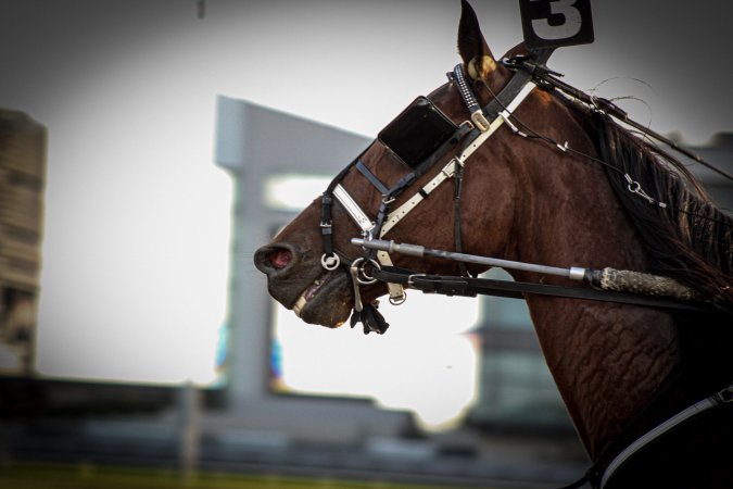 Meadowlands Racing