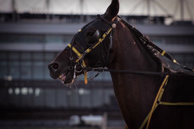 Meadowlands Racing