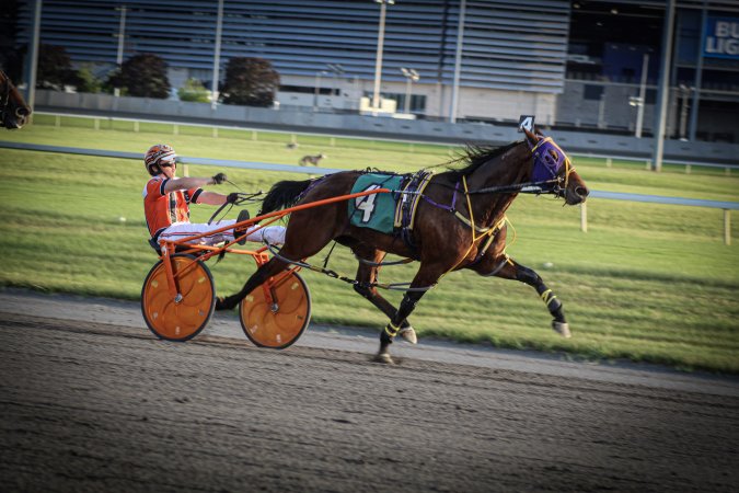 Meadowlands Racing