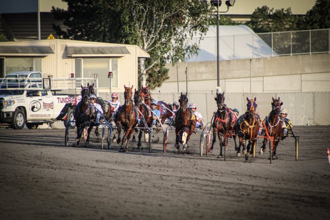 Meadowlands Racing