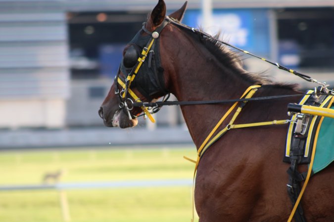 Meadowlands Racing