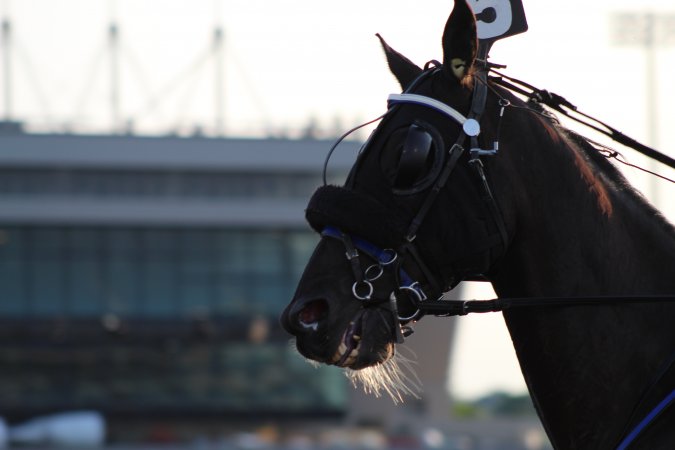 Meadowlands Racing