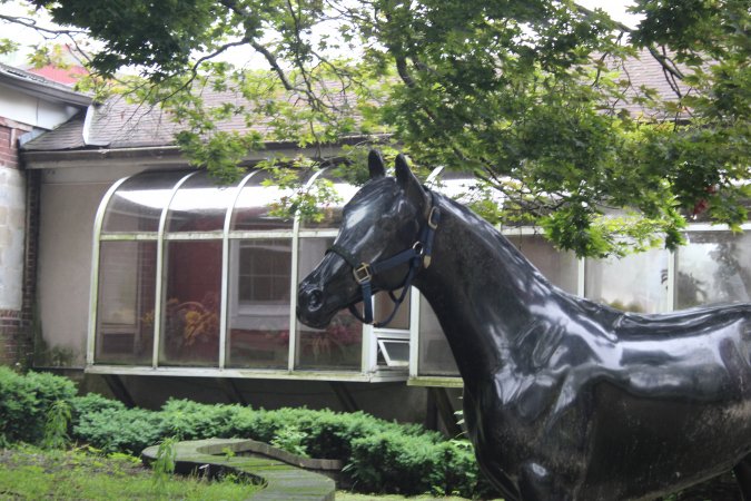 Essex Equestrian Center