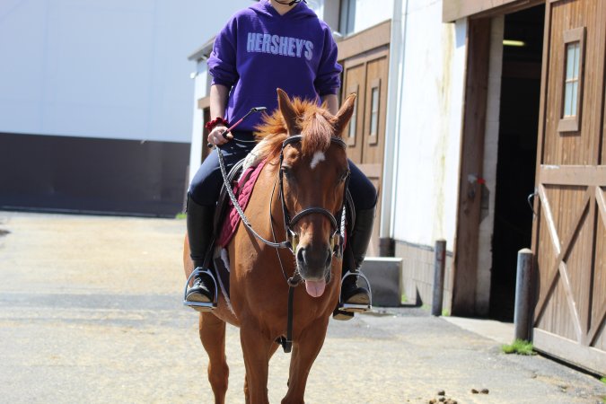 Watchung Stables