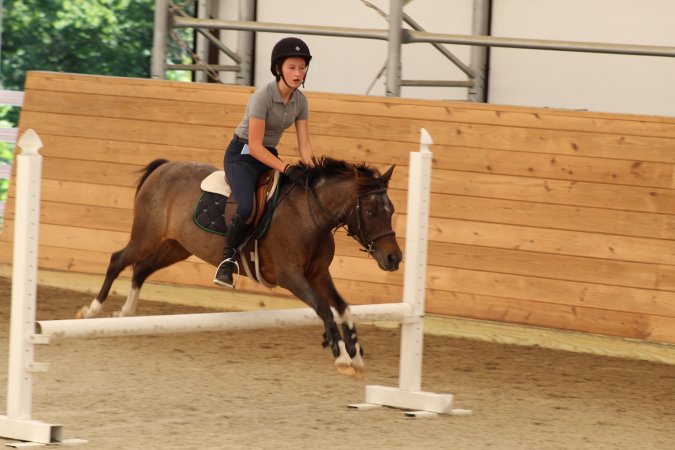 Watchung Stables