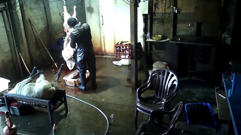 Still from video