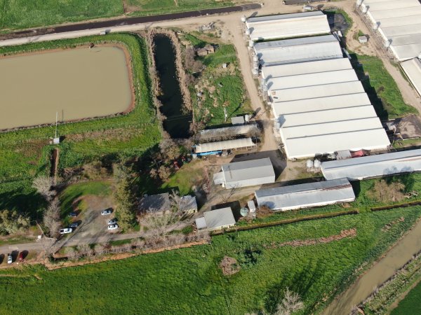 Drone flyover