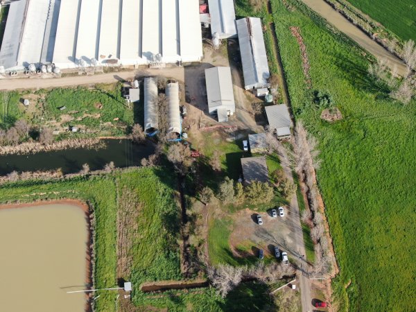 Drone flyover