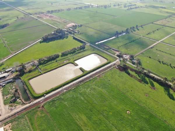 Drone flyover