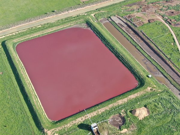 Drone flyover
