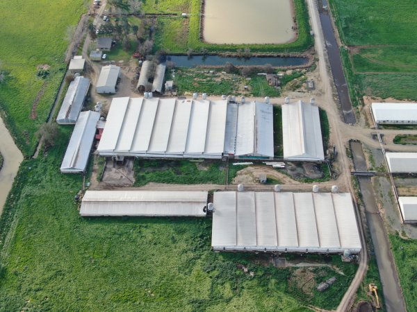 Drone flyover