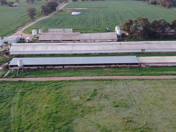 Drone flyover