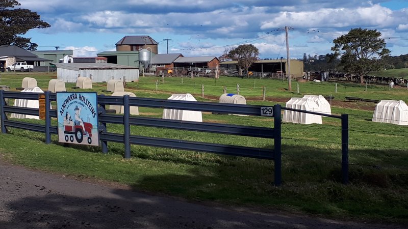 Chitticks farm, Rose Valley