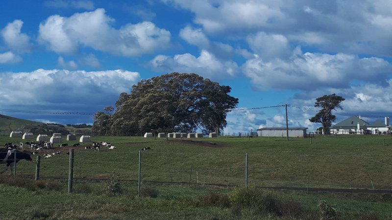 Chitticks farm, Rose Valley