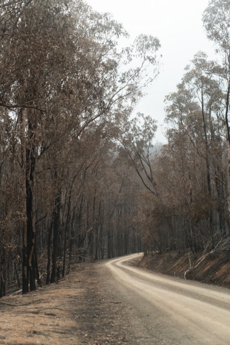 Aftermath of Victorian Bushfires 2019-20